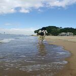 /photo/882777/老婆/psb (2)_1_3_small.jpg